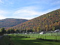 Coal Mine Hollow in Cove Mountain