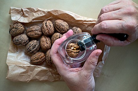 Screw nutcracker with walnuts