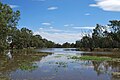 {{enen:Broken Creek at en:Numurkah, Victoria}}