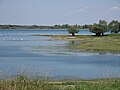 Le lac du Temple