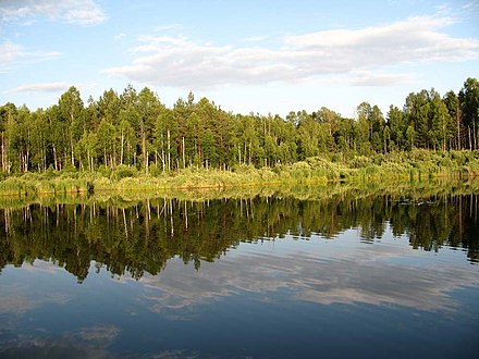 Central Lake, Orlovskoye Polesye National Park