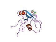 1pic: PHOSPHATIDYLINOSITOL 3-KINASE, P85-ALPHA SUBUNIT: C-TERMINAL SH2 DOMAIN COMPLEXED WITH A TYR751 PHOSPHOPEPTIDE FROM THE PDGF RECEPTOR, NMR, MINIMIZED MEAN STRUCTURE