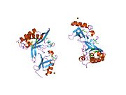 1с1q​: TSG101(UEV) домен у комплексу са убиквитином