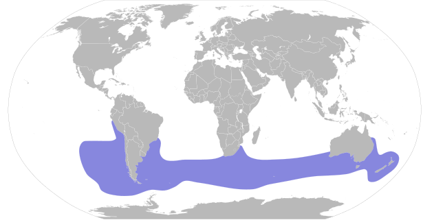 Répartition du prion de Belcher