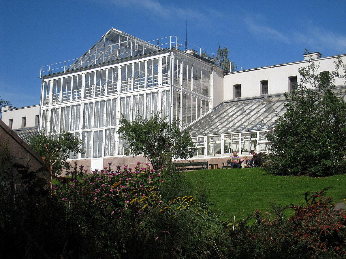 File Palm House Oslo Botanical Garden Img 9010 Jpg Wikimedia