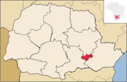 Location of the municipality of Palmeira in the state of Paraná.