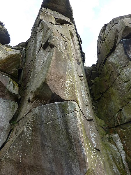 File:Part of the rockface at Cratcliff - geograph.org.uk - 2359598.jpg