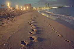 Passeig nocturn vora mar