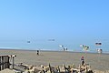 * Nomination Patenga sea beach. --Moheen Reeyad 17:49, 7 April 2017 (UTC) * Decline Insufficient quality.  Oppose Sorry, missing sharpness as there is no detail (e.g. on sands, on water). The picture is overcat'ed since Patenga is redundant, as admin so you should know?? --A.Savin 23:58, 7 April 2017 (UTC)