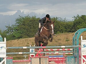 Saut D'obstacles: Généralités, Histoire, Technique équestre