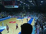 Баскетбол Pecara 09198.JPG