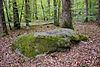 Piedra con cúpulas, Romainmôtier.jpg