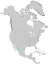 Pinus durangensis USGS range map.png