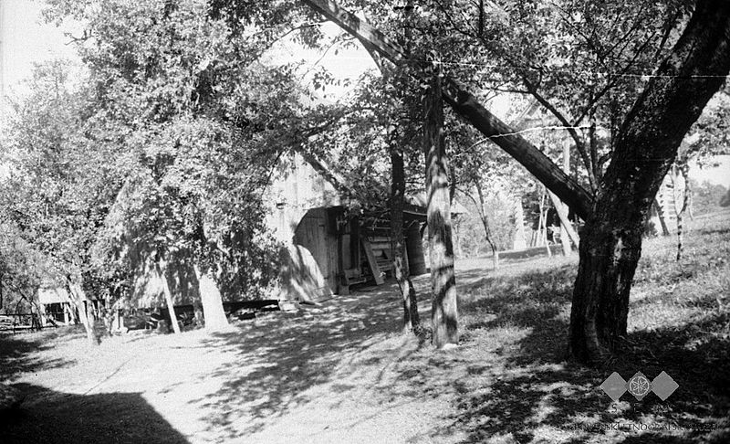 File:Pod (skedenj) pri Beušet (tesar), Male Lipljene 1948.jpg