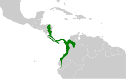 Distribución geográfica del hormiguero dorsicastaño.