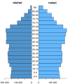 Suomalainen väestöpyramidi, eräs pareittaisen palkkikaavion sovellus.