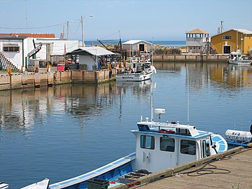 Fisheries form one of the major industries of Prince Edward Island. Prince edward island fish.jpg