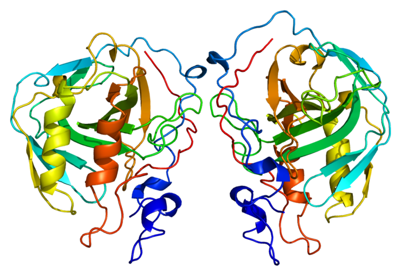 ملف:Protein CA4 PDB 1znc.png