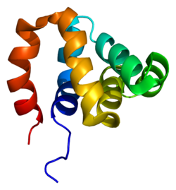 Ақуыз NOD1 PDB 2b1w.png