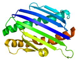 Белок PROCR PDB 1l8j.png