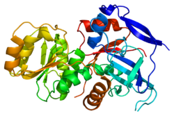 Ақуыз TP53I3 PDB 2j8z.png