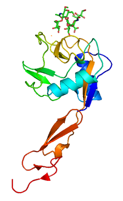 Membrane plasmique — Wikipédia