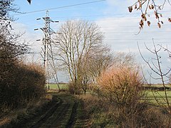 Pylon near Snout Corner - geograph.org.uk - 2221890.jpg