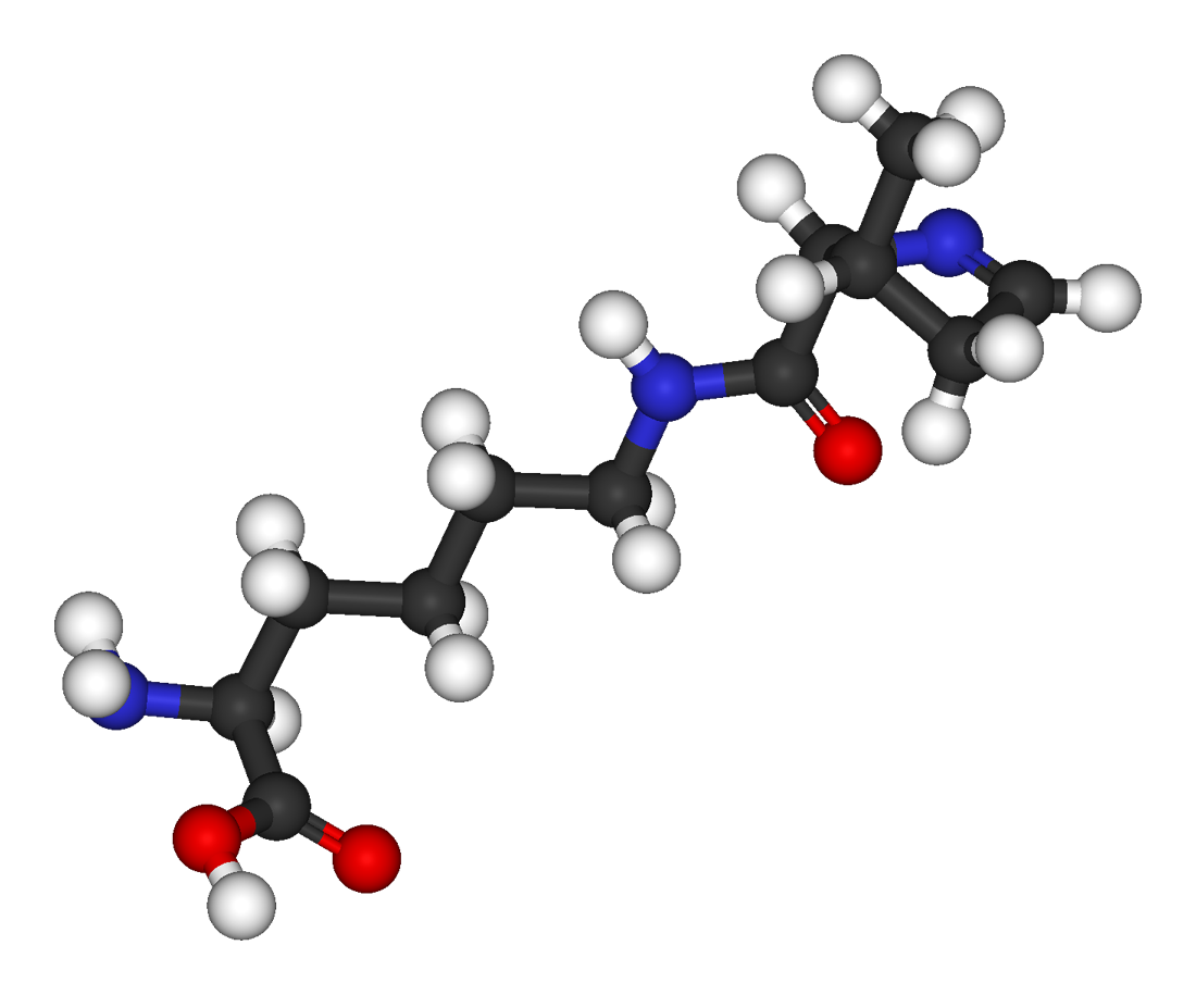 Pyrrolysine