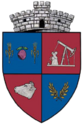 Coat of arms of Vedea, Romania