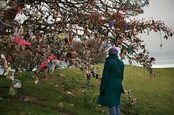 A clootie tree at the Hill of Tara, Ireland Rag tree, hill of Tara.jpg