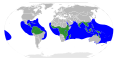 Range of the family Rhizophoraceae