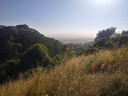 Richmond as seen from Wildcat Canyon Regional Park
