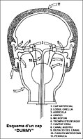 Esquema dun cap "Dummy"