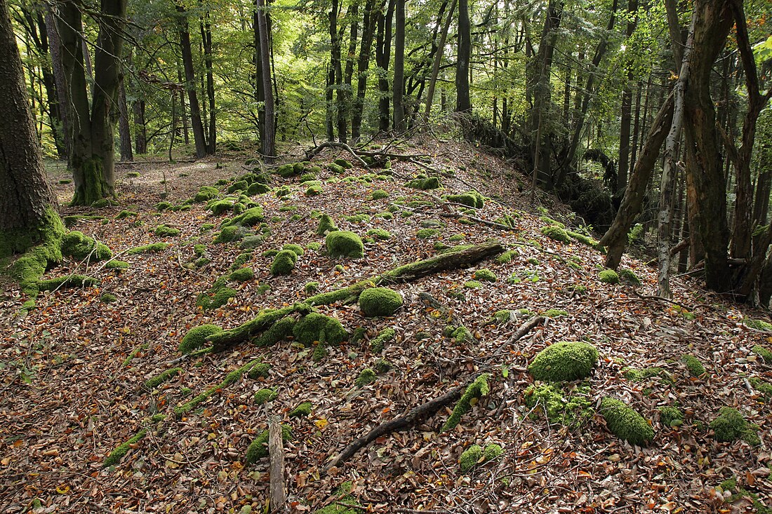 Abschnittsbefestigung Tischnerberg