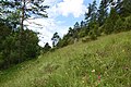 Natuurreservaat Rinntal bei Alfeld