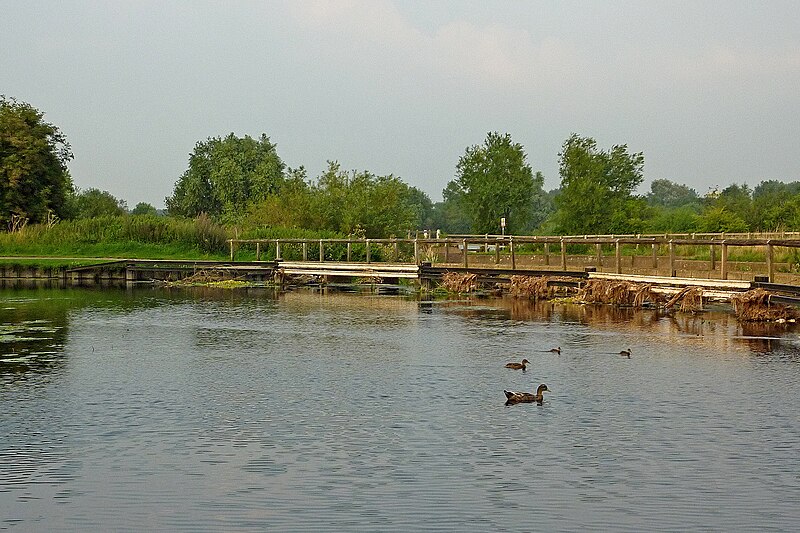 File:River Soar flowing through Watermead Country Park, Leicester - geograph.org.uk - 5972518.jpg