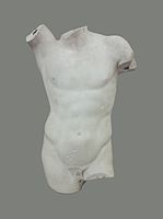 A male torso of the Apollo Lykeios type label QS:Len,"A male torso of the Apollo Lykeios type" label QS:Lpl,"Tors męski w typie Apollina Lykeiosa" label QS:Lfr,"Un torse masculin du type d'Apollon Lykeios" , Anonymous (Rome)Unknown author