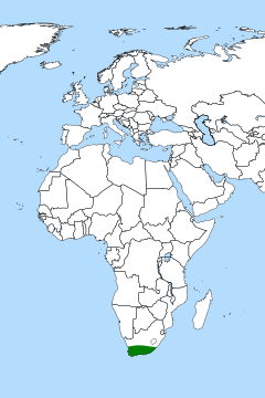 Mapa de distribuição global do género