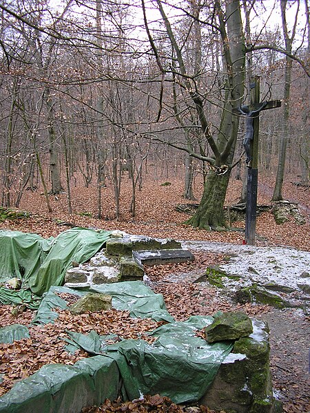 File:Ruine Jostbergkloster1.JPG