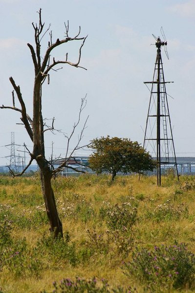 File:Ruined Pump - geograph.org.uk - 523513.jpg