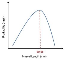 Figure 4. Right-shifted mussel profitability curve. Adapted from Meire & Ervynck. SDY4.jpg