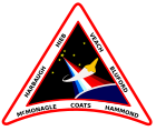 Patch STS-39.svg