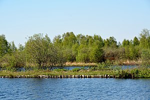 Schleswig-Holstein, Heide, Ostroher-Süderholmer Moor NIK 0136.JPG