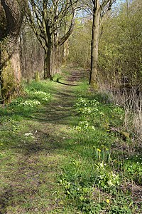 Schleswig-Holstein, Lunden, Landschaftsschutzgebiet und Naturerlebnisraum NIK 5825.jpg