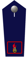 Jugendfeuerwehrwart/-in