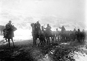 Serbian artillery during the retreat