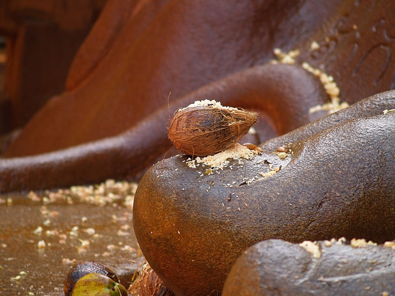 File:Shravanbelgola Gomateshvara toe.jpg