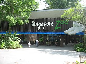 Singapore Zoo.JPG