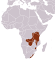 Southern Tree Hyrax area.png