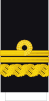 Spain-Navy-OF-7.svg